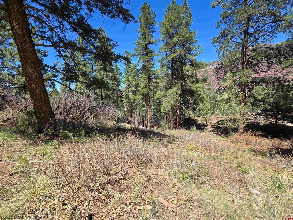 238 Pine Ridge Drive