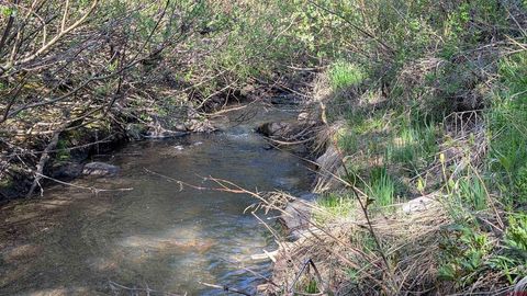 122 Meadowbrook Place Pagosa Springs CO 81147