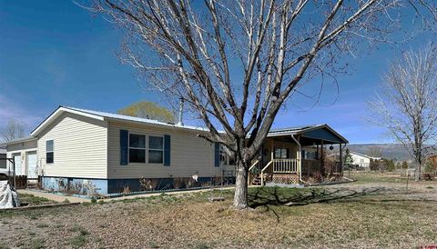 Photo of 21177 Navajo Road, Eckert, CO 81418 (MLS # 832512)