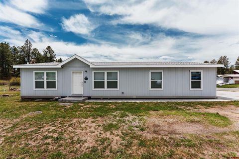 118 Meadowbrook Drive Bayfield CO 81122
