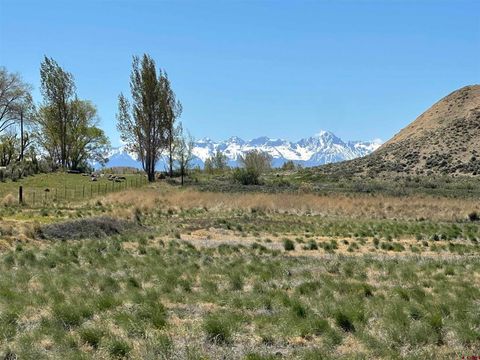 Photo of TBD E Oak Grove Road, Montrose, CO 81401 (MLS # 834262)