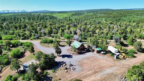 1165 TIMBER RIDGE Road Montrose CO 81401