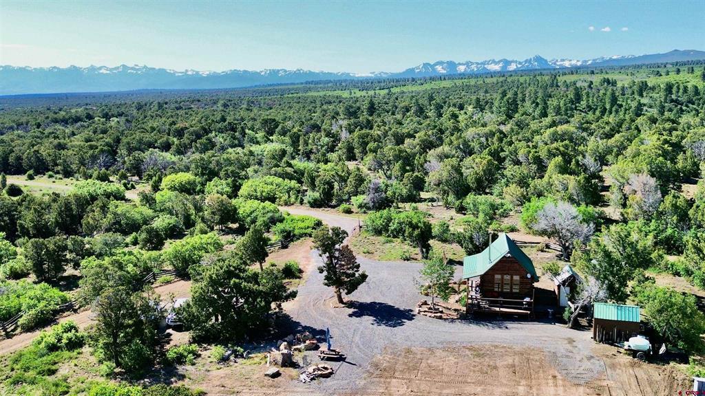 1165 TIMBER RIDGE Road