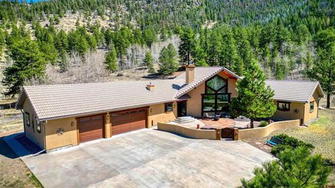 258 N Skyline Drive South Fork CO 81154