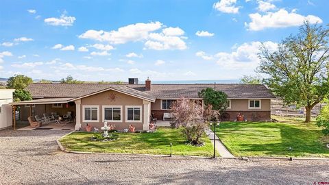 20786 Iris Road Austin CO 81410