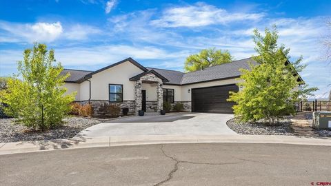 Photo of 3030 Wildhorse Circle, Montrose, CO 81401 (MLS # 834527)