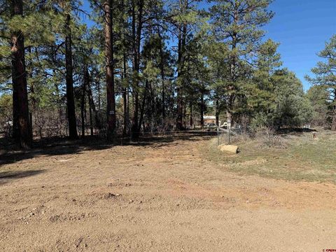 143 Hakala Court Pagosa Springs CO 81147