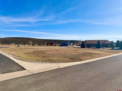 Photo of 305 SE Limestone Court, Cedaredge, CO 81413 (MLS # 831465)