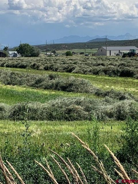 Lot: 1 Highway 550 Montrose CO 81403