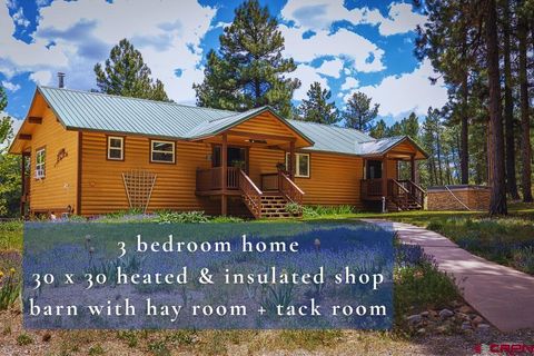 30 Stagecoach Road Bayfield CO 81122
