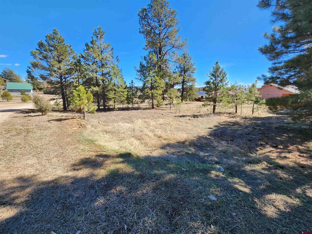Photo 1 of 15 — 1059 Hills Circle, Pagosa Springs, CO 81147