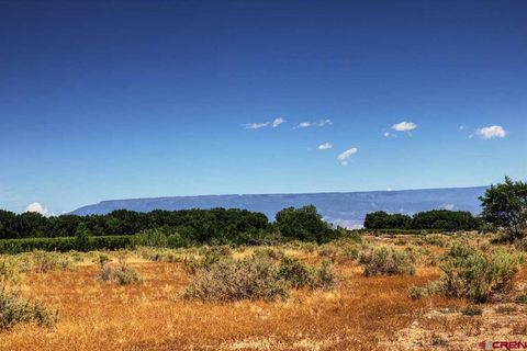 Photo of 3 Idaho Road, Montrose, CO 81403 (MLS # 834578)