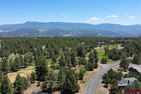Photo of 1640 Marmot Dr, Ridgway, CO 81432 (MLS # 832609)
