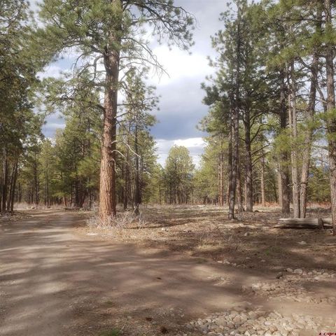 435 Wood Sorrel Lane Ridgway CO 81432