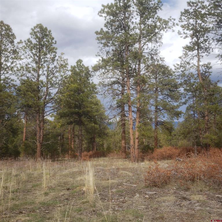 435 Wood Sorrel Lane