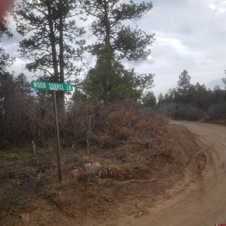 435 Wood Sorrel Lane