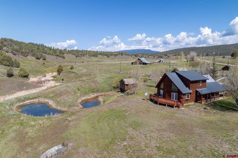 6405 County Road 700 Pagosa Springs CO 81147