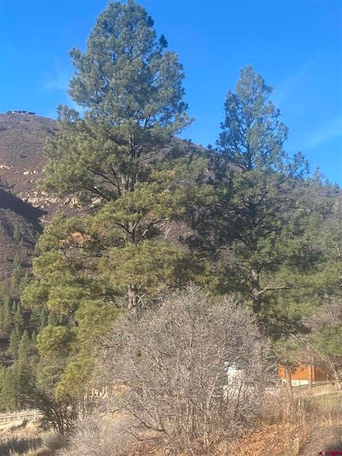 57 Wild Iris Durango CO 81301