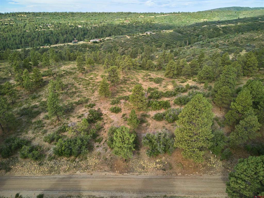1649 Sheep Springs Road