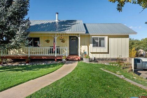 1149 Pinon Circle Bayfield CO 81122