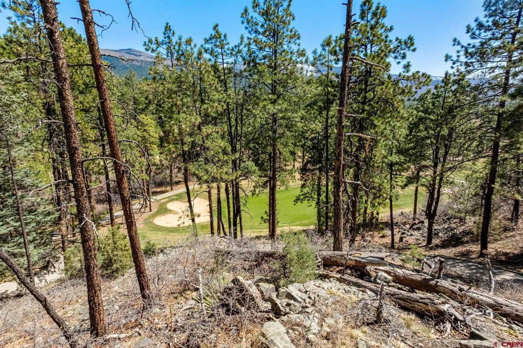 91 Ambush Canyon