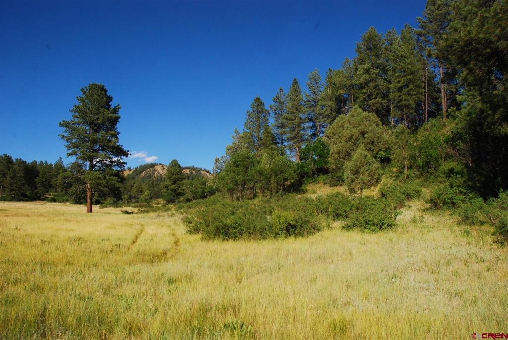 X US Hwy 84 #047