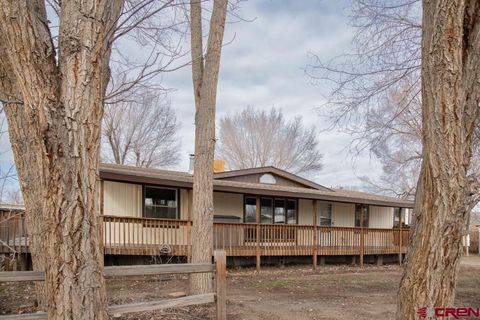 481 6530 Road Montrose CO 81401