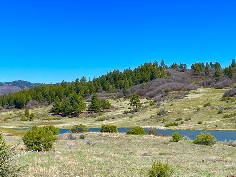 265 Spring Creek Circle Chromo CO 81128