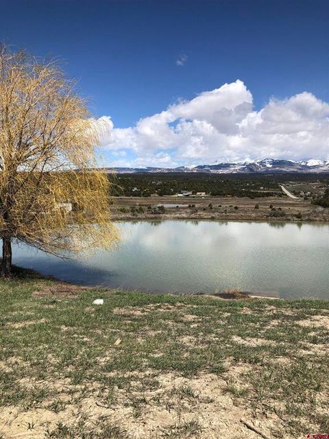 37988 & 38014 Highway  184 Mancos CO 81328