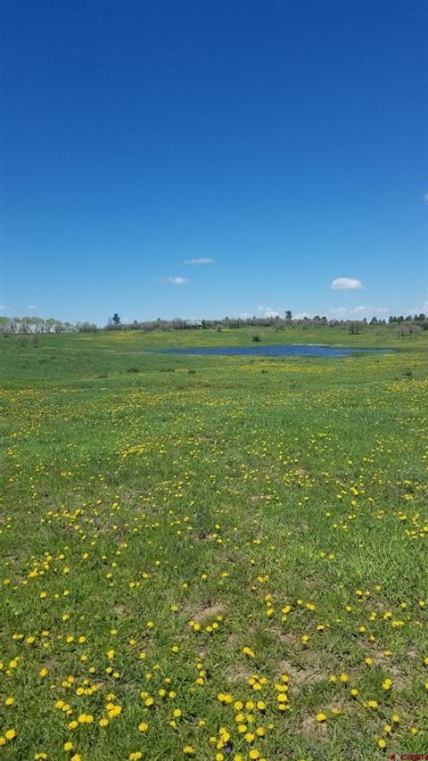 Photo of TBD Hanks Valley Road, Montrose, CO 81403 (MLS # 831583)