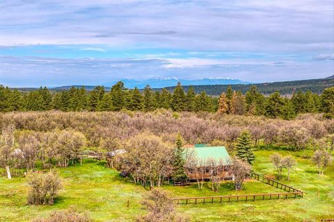 Photo of TBD Hanks Valley Road, Montrose, CO 81403 (MLS # 831583)