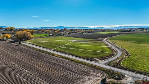 Photo of TBD Inverness Court, Montrose, CO 81403 (MLS # 829014)