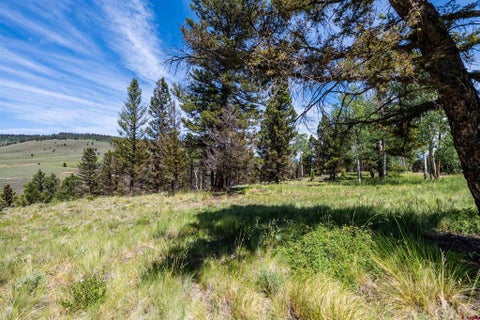 Photo of 1021 Slumgullion Trail, Powderhorn, CO 81243 (MLS # 835739)