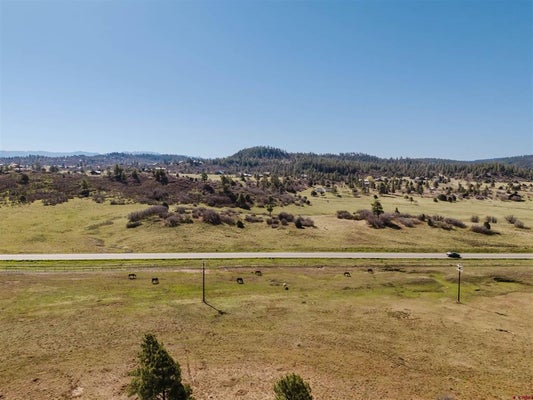 X DICHOSO STREET, PAGOSA SPRINGS, CO 81147 - Image 4ca2fd29497c8ca4fc4ead9bfeb365b4/1866400818