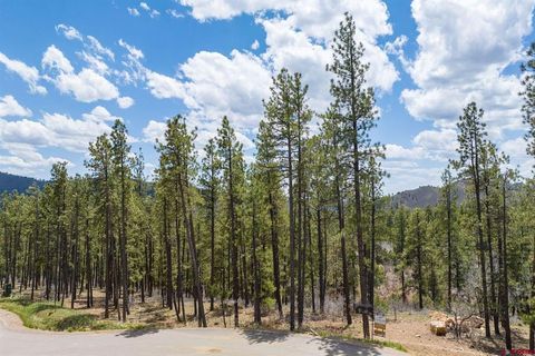 1091 Red Canyon Trail Durango CO 81301