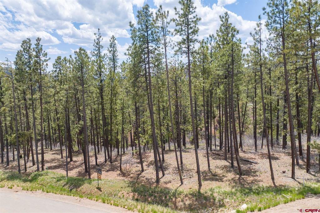 1091 Red Canyon Trail
