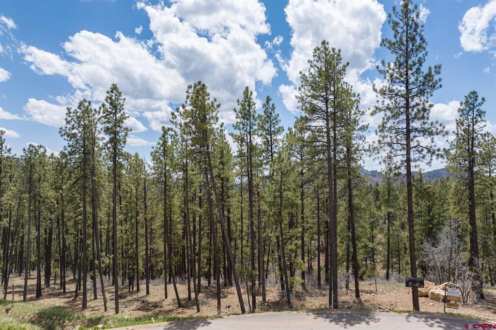 1091 Red Canyon Trail