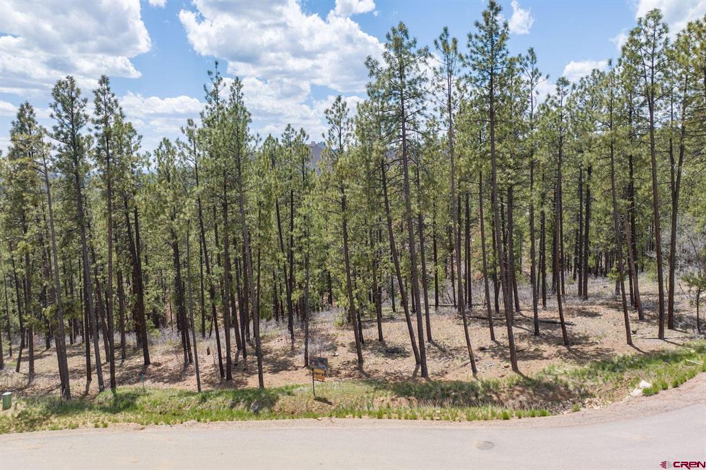 1091 Red Canyon Trail