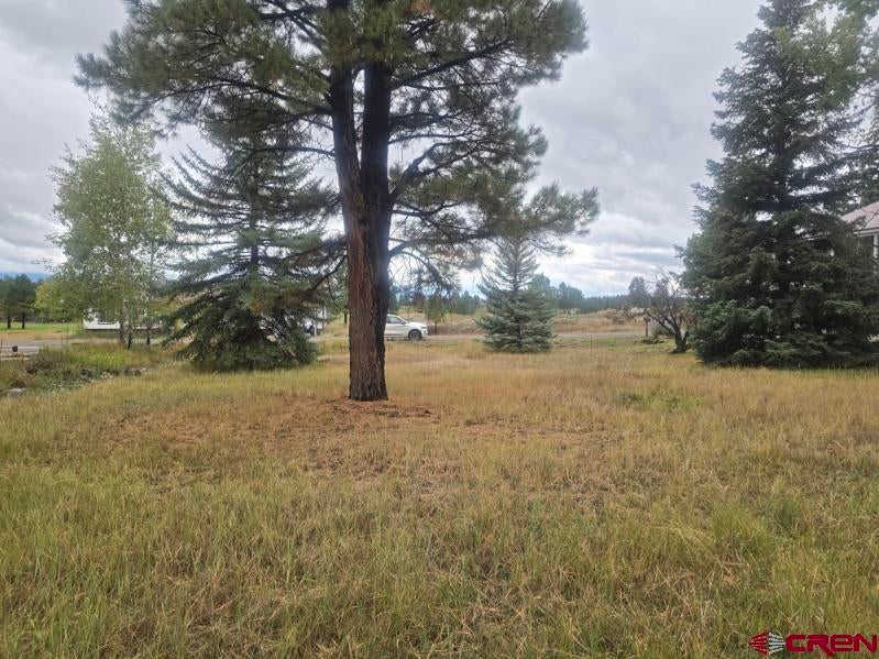 94 Pines Club Place