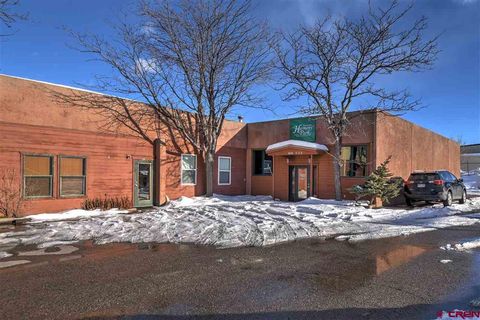 194 Bodo Dr 4,5,6,7 Durango CO 81301