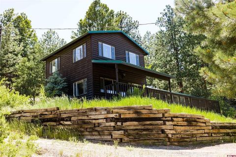 170 Ford Lane South Fork CO 81154