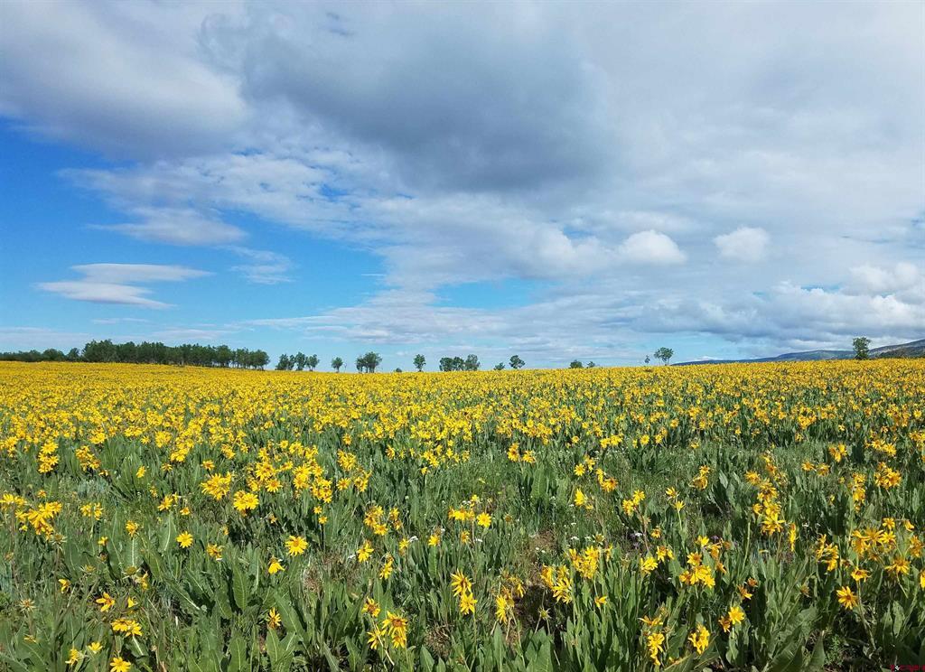 TBD Hanks Valley Road