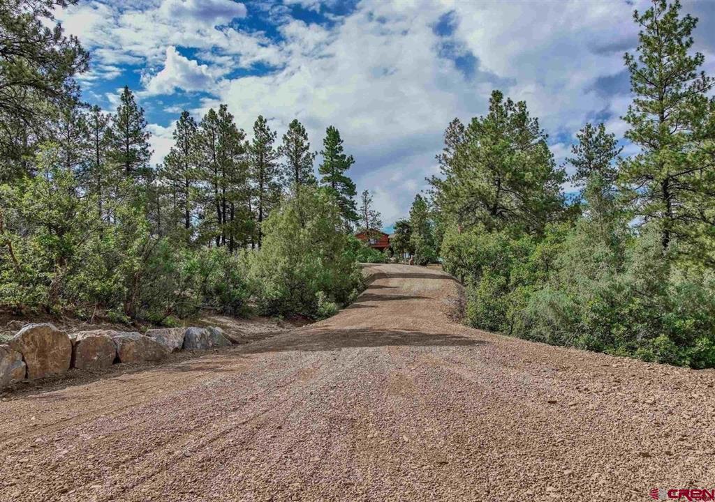 511 Cool Pines Drive