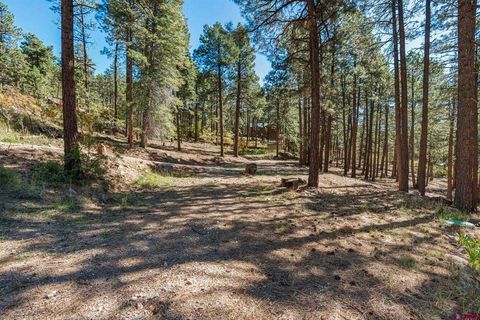138 Green Ridge Drive Bayfield CO 81122