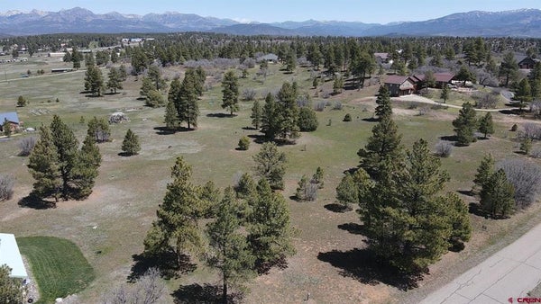 1570 COOL PINES DR, PAGOSA SPRINGS, CO 81147 - Image 4dfdc3c5fbe684ed8dfd948d5d46c729/256392325