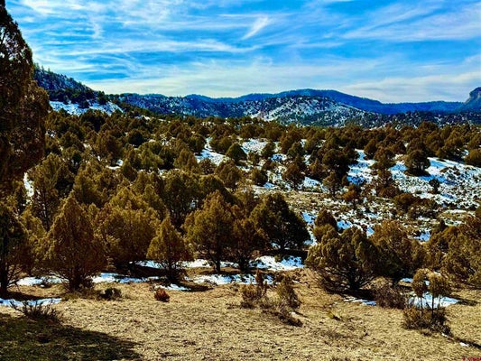 ADDRESS PRIVATE, PAGOSA SPRINGS, CO 81147 - Image 4e8114b7548de0f9537875c2ddbbb836/3932603260