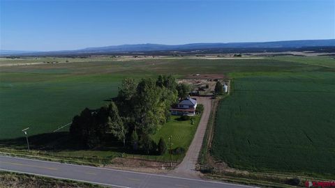 37661 Highway 145 Redvale CO 81431