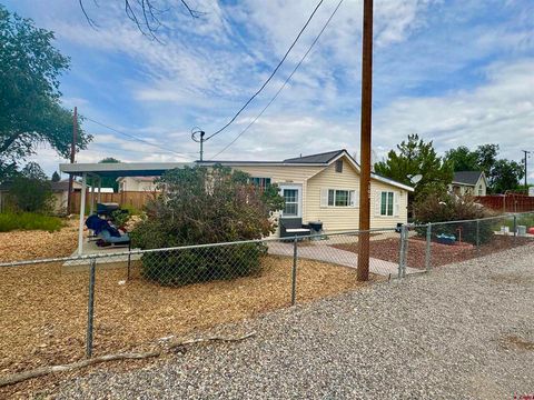 103 N Grand Avenue Olathe CO 81425