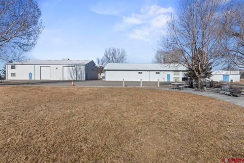 Photo of 5 Ponderosa Court, Montrose, CO 81403 (MLS # 831174)