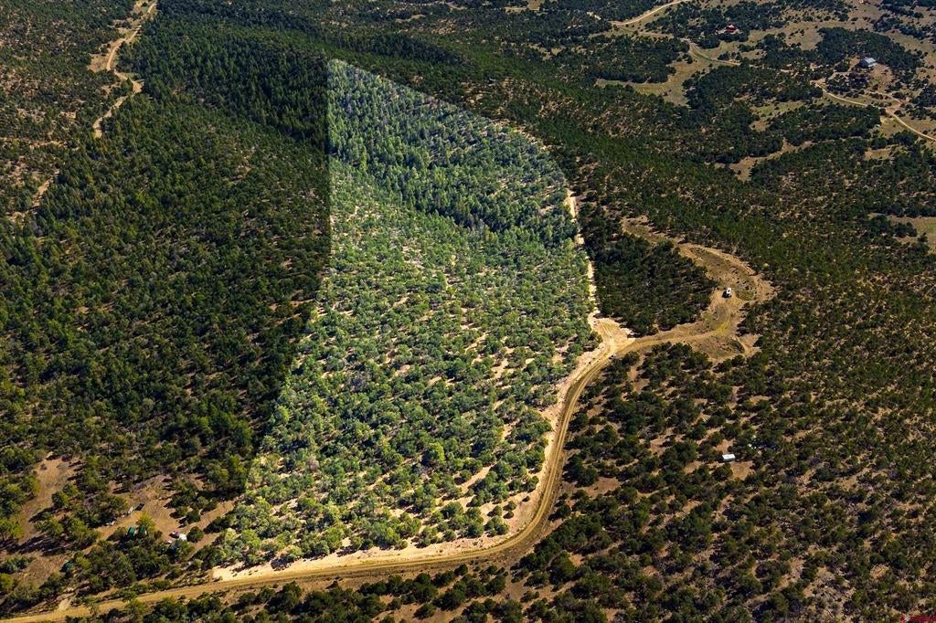 TBD Milligan Ranch Lot 4 Lane